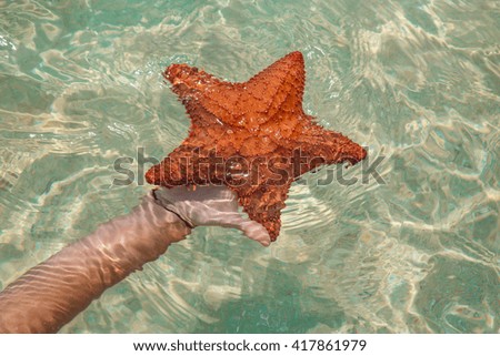 starfish with hand on water
