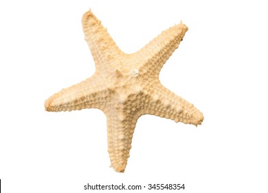 Starfish Isolated On White Stock Photo (Edit Now) 345064415