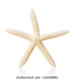 Starfish Isolated On White Background