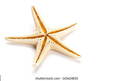 Starfish Isolated On White Background 