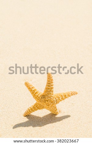 Similar – Image, Stock Photo Toy shovel with starfish on a beach