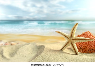 Starfish on the Beach. - Powered by Shutterstock
