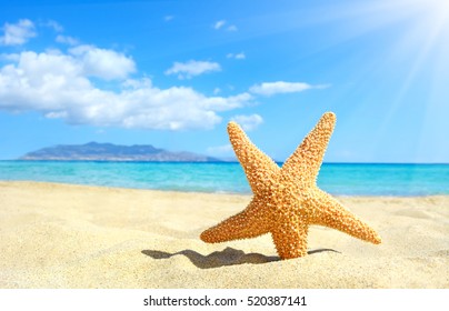 Starfish am Strand. Kreta, Griechenland