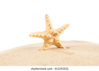 96,976 Starfish isolated Images, Stock Photos & Vectors | Shutterstock