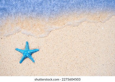 Starfish on beach sand background for summer vacation concept. Beach nature and summer seawater with sunlight light sandy beach Sparkling sea water  - Powered by Shutterstock