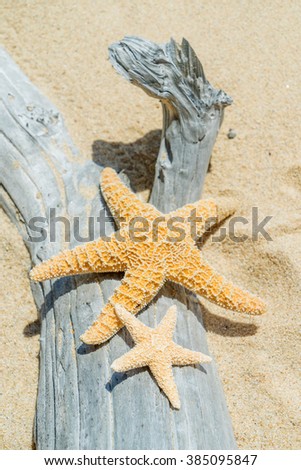 Similar – Image, Stock Photo Sandy beach with toy shovel and starfish