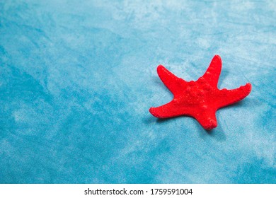 Starfish On A Blue Background