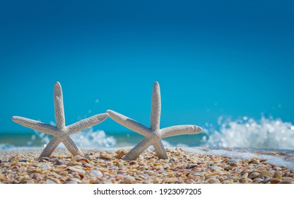 Starfish On Ocean Beach. Spring Or Summer Vacations. Blue Sky And Ocean Waves. Sea Coast. Florida Paradise. Tropical Nature. Sea Shells. Seascape Concept For Post Card Or Travel Agency With Copy Space