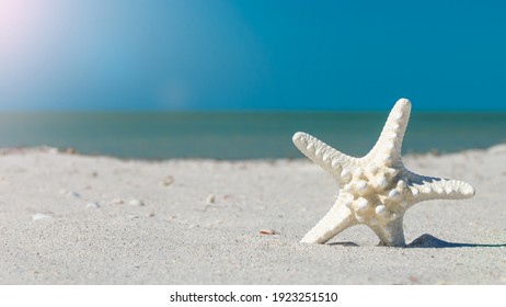 Starfish On Ocean Beach. Spring Or Summer Vacations. Blue Sky And Turquoise Ocean Water. Quartz Sand. Sea Coast. Florida Paradise. Tropical Nature. Sand Dunes. Seascape For Post Card Or Travel Agency.