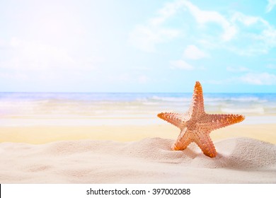 Starfish On Sandy Beach