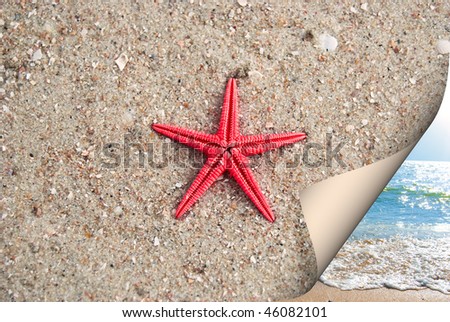 Similar – Image, Stock Photo Toy shovel with starfish on a beach