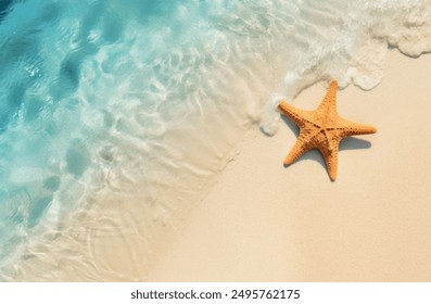 Starfish on the summer beach. Summer background. Tropical sand beach - Powered by Shutterstock