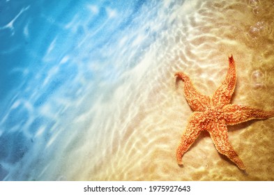 Plage Coquillage Hd Stock Images Shutterstock