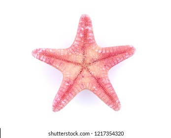 Starfish On White Background