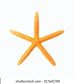 The Starfish On A White Background