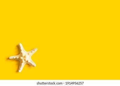 Starfish On A Yellow Background.