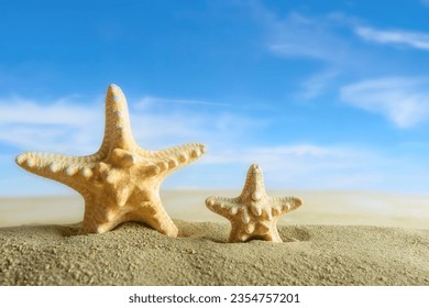 Starfish in the sand against the sky. There is space for text. - Powered by Shutterstock