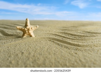 Starfish in the sand against the sky. There is space for text. - Powered by Shutterstock