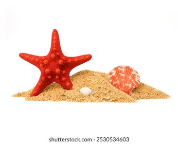 Starfish and sea shell in sand pile isolated on white background, side view