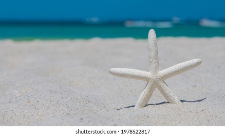 Starfish Or Sea Star. Beach Sand. Summer Vacations. Ocean Coast Line. Bright Sunny Day And Blue Color Of Salt Water. Florida Paradise. Tropical Nature. Seascape Concept For Travel Agency Or Post Card.