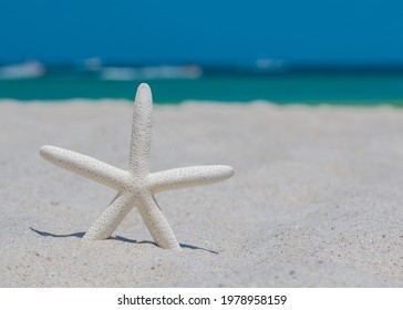 Starfish Or Sea Star. Ocean And Beach Sand. Summer Vacations. Bright Sunny Day And Blue Color Of Salt Water. Florida Paradise. Tropical Nature. Seascape Concept For Travel Agency Or Post Card.