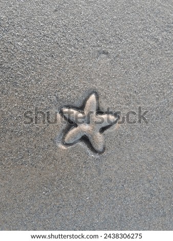 Starfish or sea stars are star-shaped echinoderms belonging to the class Asteroidea. Common usage frequently finds these names being also applied to ophiuroids, which are correctly referred to as brit