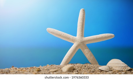 Starfish And Seashells On The Sand. Ocean Beach. Summer Vacations. Bright Sunny Day And Blue Color Sky. Coast Line. Florida Paradise. Tropical Nature. Seascape Concept For Travel Agency Or Post Card.