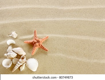 Starfish And Shells On A Sand Beach