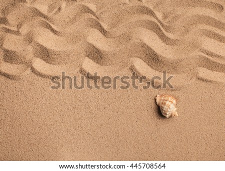 Similar – Sea snails on the beach