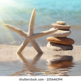 starfish and stones - Powered by Shutterstock