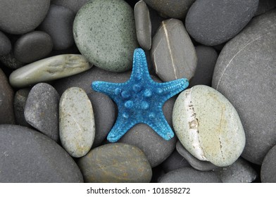 Starfish with stones background - Powered by Shutterstock