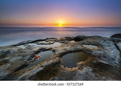 Starfish in a tide pool during a beautiful sunset 
