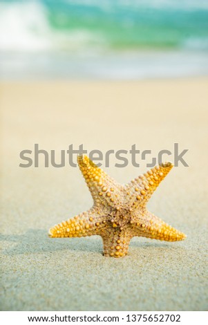 Similar – Image, Stock Photo Sandy beach with toy shovel and starfish