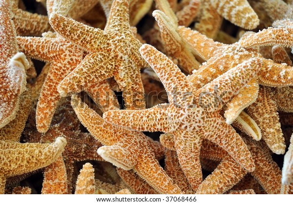 Starfish текстур пак