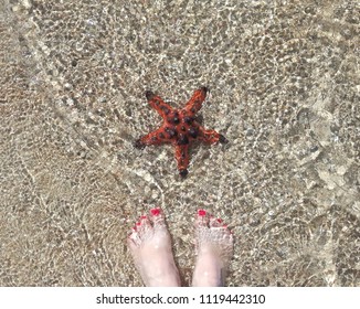Starfish in the water on the beach, female feet with painted red nails. View from above. Lombok. Indonesia - Shutterstock ID 1119442310