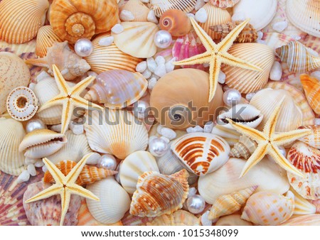 Starfishes, pearls, and amazing seashells close up