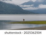 Staring across Cook Inlet in Alaska