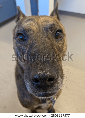 Staring into the face of utter cuteness