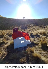 staring at the sun