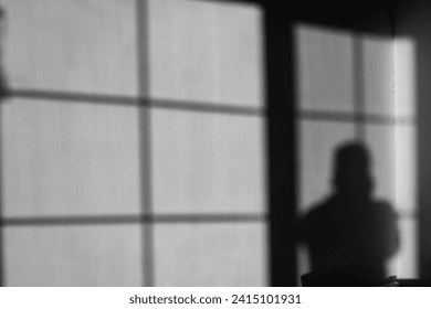 A stark contrast between light and shadow
This evocative photograph captures the interplay of light and shadow, creating a sense of mystery and intrigue. The stark contrast between the illuminated..