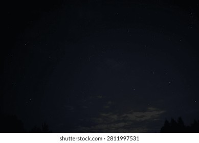Starlit Night Sky with Subtle Clouds and Silhouetted Trees at Dusk