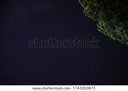 The starlit sky that spreads out to fill the sky