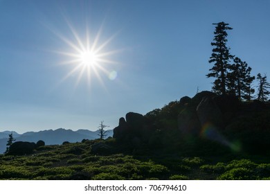 Starred Sun And The Tahoe Rim Trail.