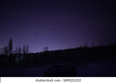夜空 森 の画像 写真素材 ベクター画像 Shutterstock
