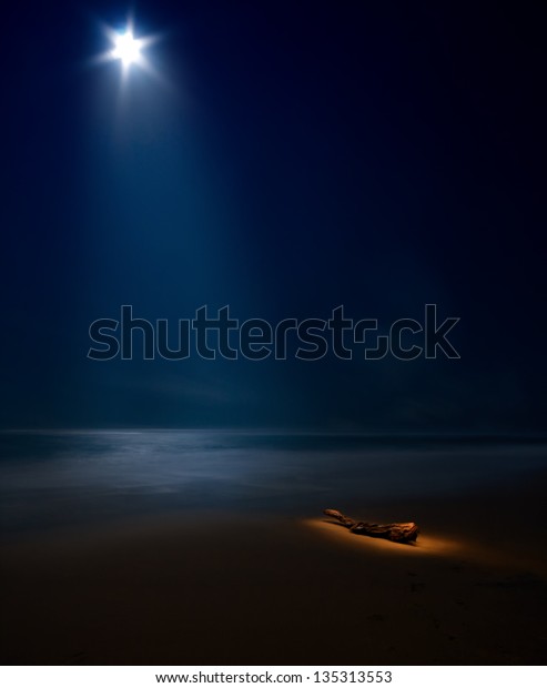 starry moon on night sea with beach and tree\
trunk painted with light with moon\
rays