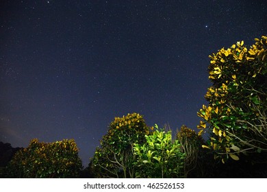 Starry night
