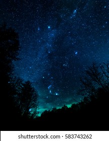 Starry Night In Forest 