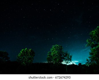 Starry Night In The Forest