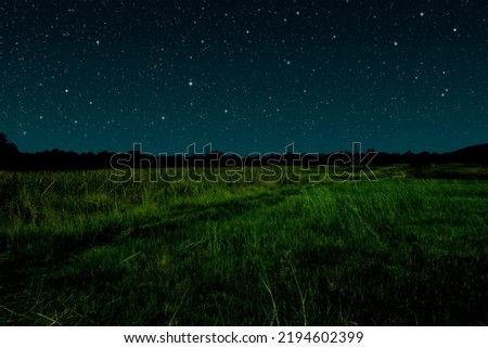 Starry night in grassland. Meadow landscape at night with sky full of stars