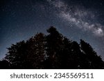 Starry night with Milky Way over a cluster of trees, Headlands International Dark Sky Park of Michigan